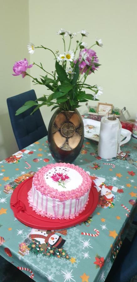 Rosa Villa Băile Olăneşti 外观 照片