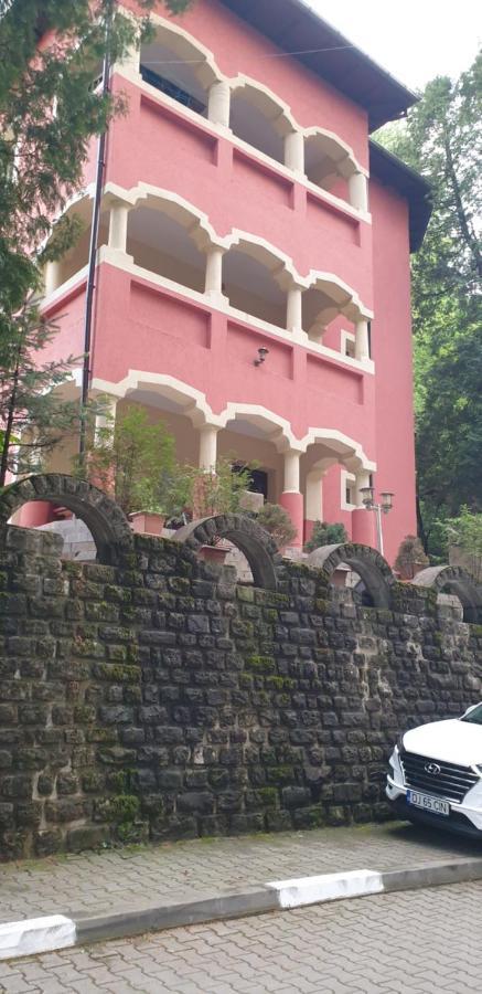 Rosa Villa Băile Olăneşti 外观 照片