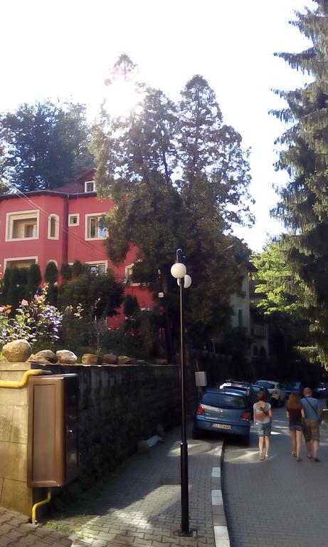 Rosa Villa Băile Olăneşti 外观 照片
